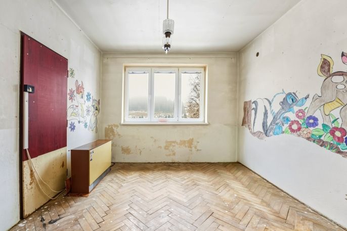 Prodej, Byt 3+1, Orlické Záhoří