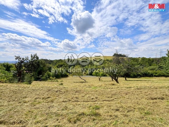 Prodej, Zahrada, Žitenice