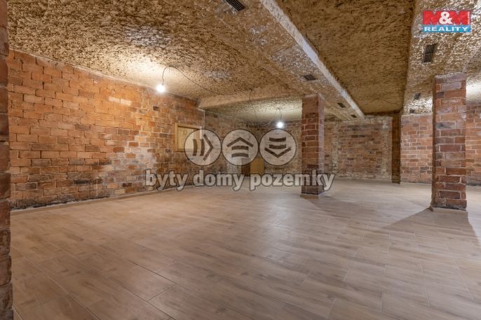 Pronájem, Restaurace, stravování, Třinec