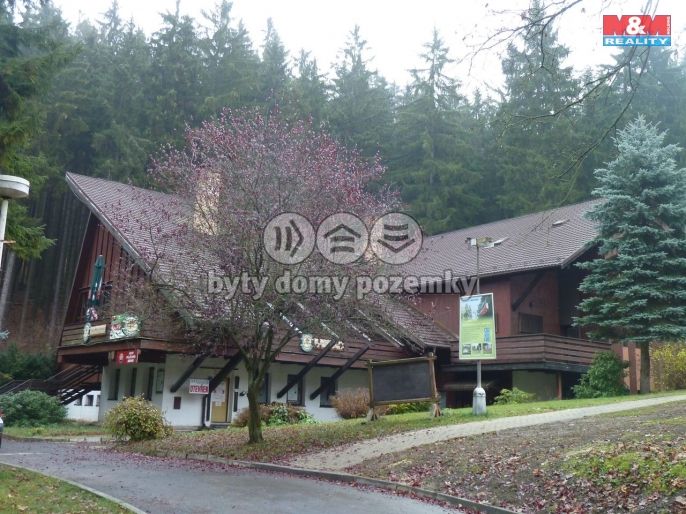 Prodej, Hotel, penzion, Mariánské Lázně