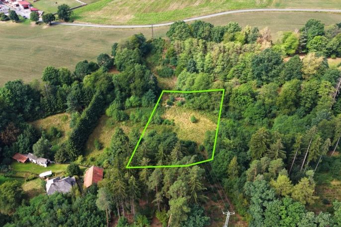 Prodej, Louka, Světlá nad Sázavou