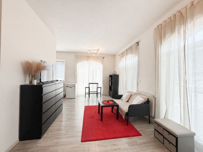 Pronájem, Byt 1+kk, Šestajovice