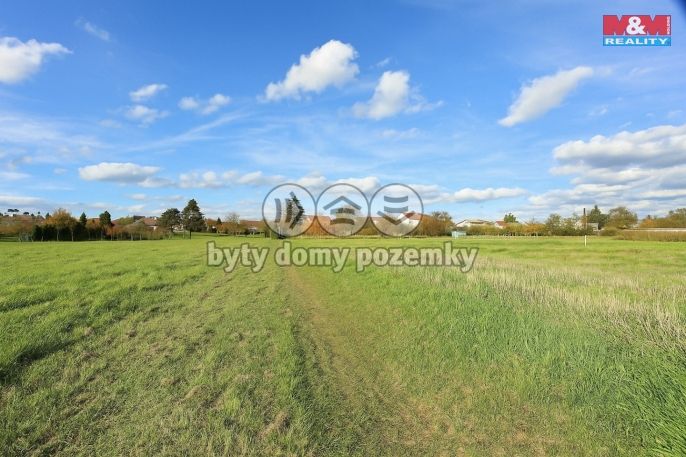 Prodej, Pole, Bohuňovice