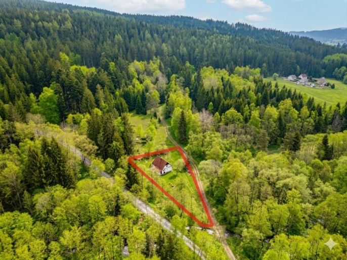 Prodej, Chata, Frymburk