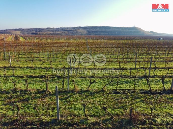 Prodej, Vinice, Velké Bílovice