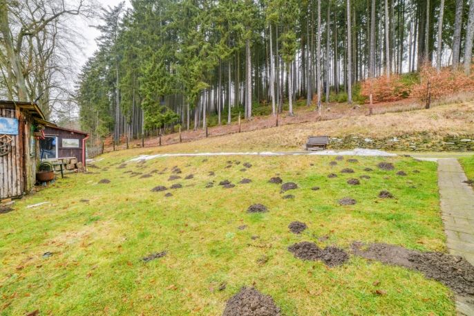 Prodej, Rodinný dům, Podhradí