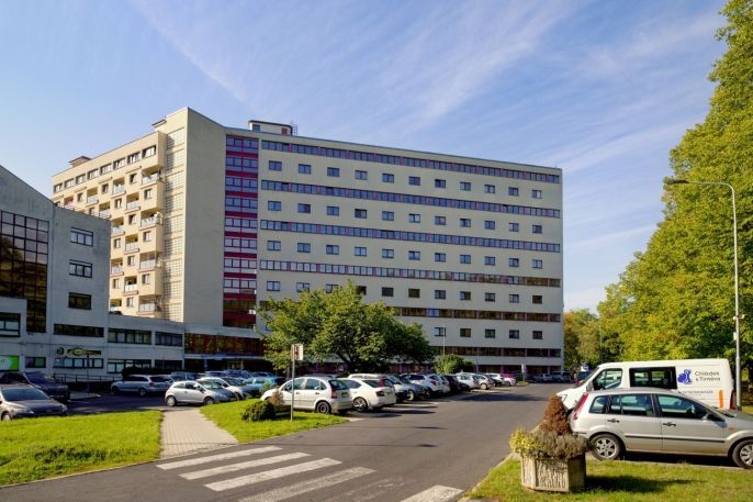 Prodej, Byt 1+kk, Litvínov
