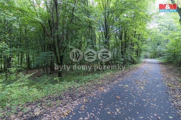 Prodej, Zahrada, Kostelec nad Černými lesy