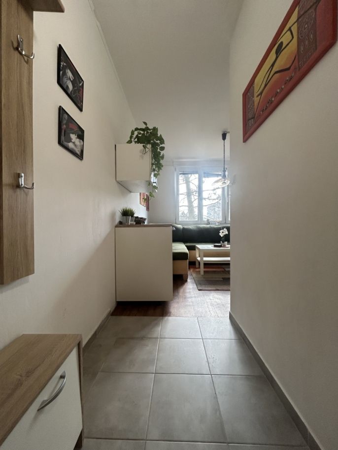 Pronájem, Byt 1+1, Ústí nad Labem