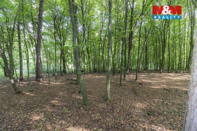 Prodej, Zahrada, Kostelec nad Černými lesy