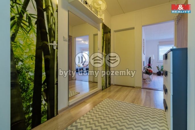 Prodej, Byt 3+1, Česká Ves