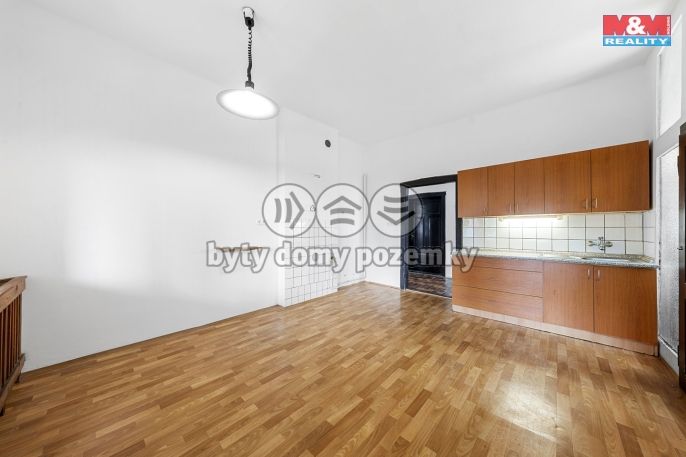 Prodej, Byt 3+1, Teplice