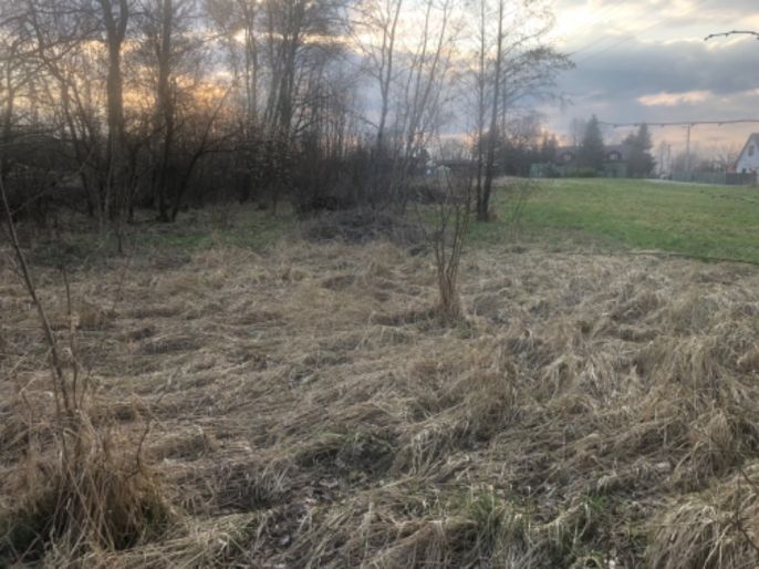 Prodej, Louka, Horní Suchá