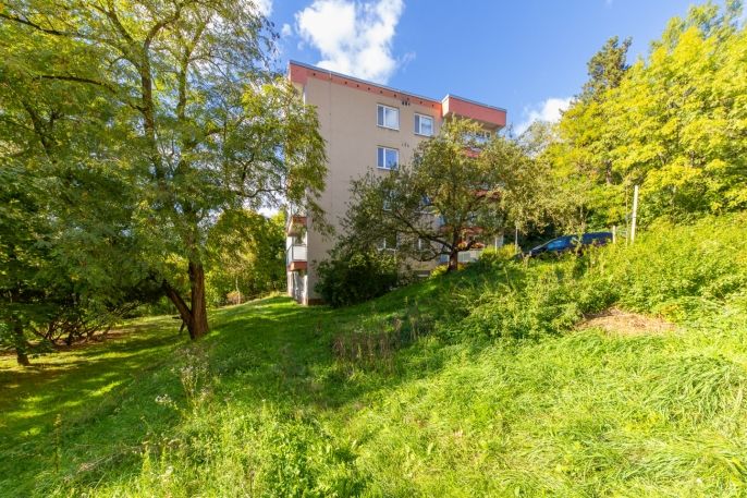 Prodej, Byt 1+1, Brno