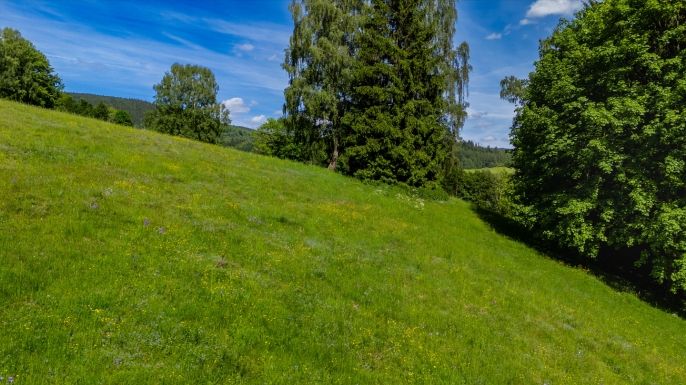 Prodej, Hotel, penzion, Paseky nad Jizerou