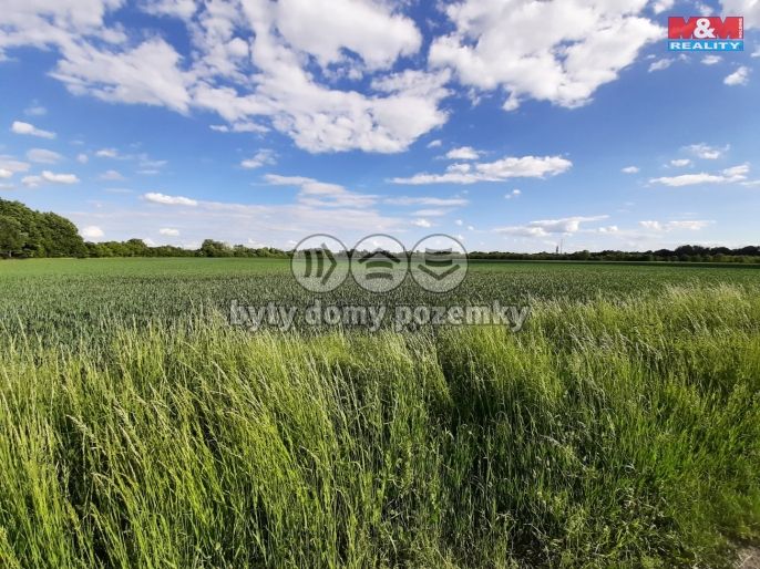 Prodej, Pole, Olomouc