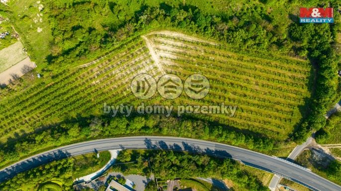 Prodej, Ovocný sad, Roudnice nad Labem