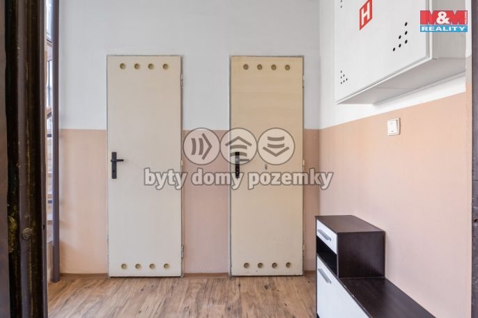 Prodej, Byt 3+kk, Průhonice