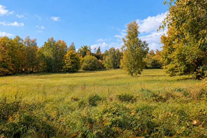 Prodej, Pozemek k bydlení, Zruč nad Sázavou