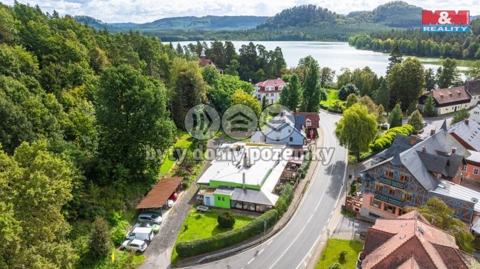 Prodej, Hotel, penzion, Hamr na Jezeře
