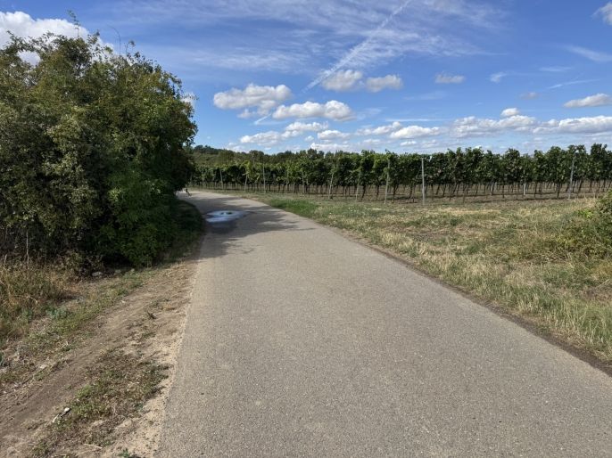 Prodej, Pole, Valtice