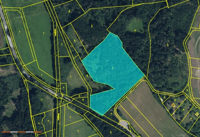 Prodej, Les, Velichovky