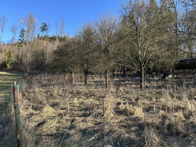 Prodej, Chata, Lešná