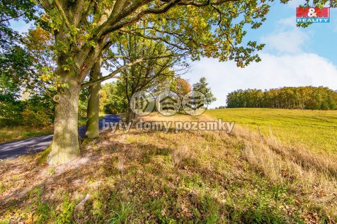 Prodej, Zahrada, Milhostov