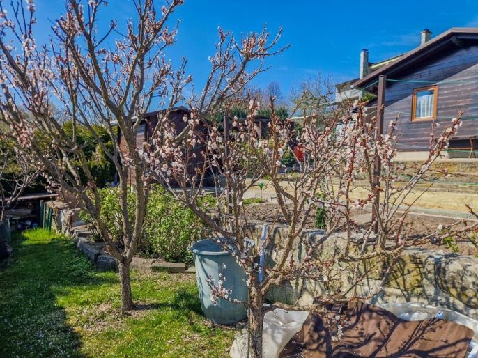 Prodej, Zahrada, Nový Bor