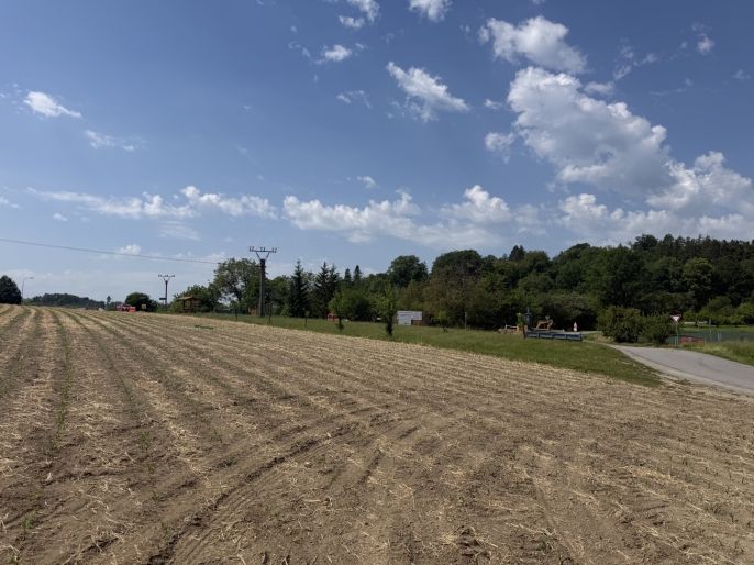 Prodej, Pole, Lysice