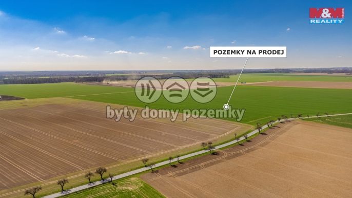 Prodej, Pole, Čistá