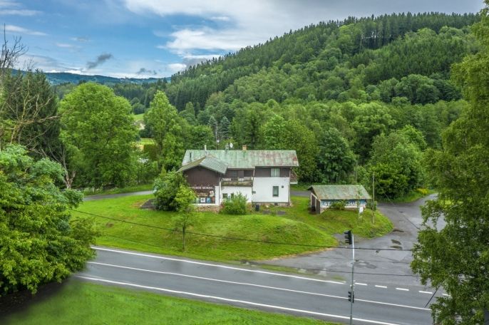 Prodej, Hotel, penzion, Plavy