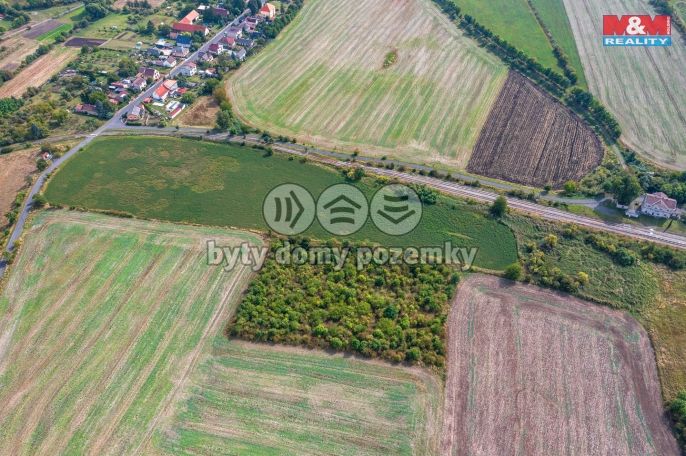 Prodej, Ovocný sad, Chotiměř