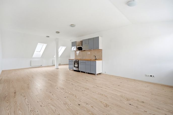 Pronájem, Byt 3+kk, Liberec