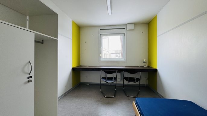 Prodej, Ostatní, Planá