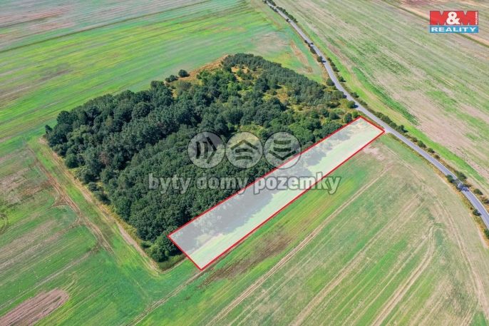 Prodej, Pole, Plzeň