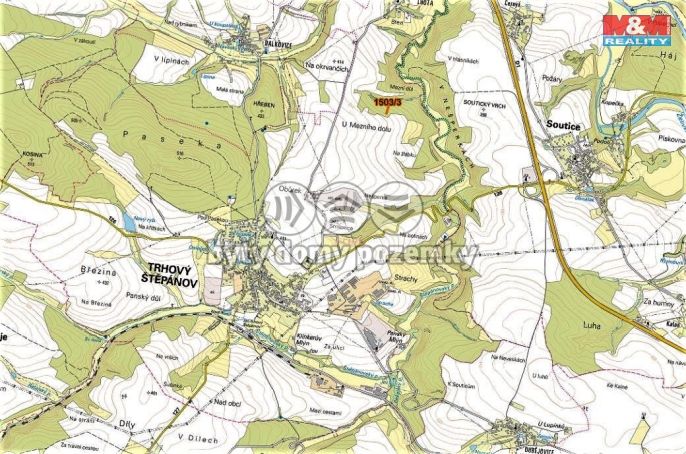 Prodej, Les, Trhový Štěpánov