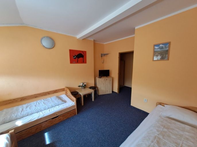 Prodej, Hotel, penzion, Široká Niva