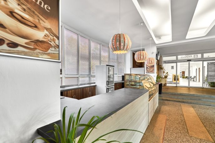 Pronájem, Obchodní objekt, Ostrov