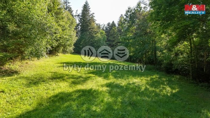 Prodej, Les, Petrovice u Sušice