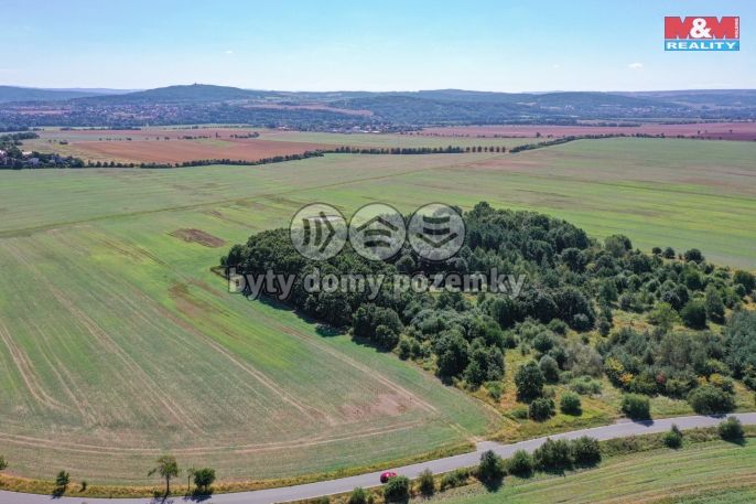 Prodej, Pole, Plzeň