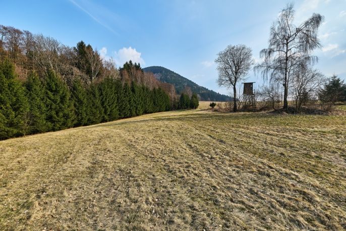 Prodej, Ostatní, Královec