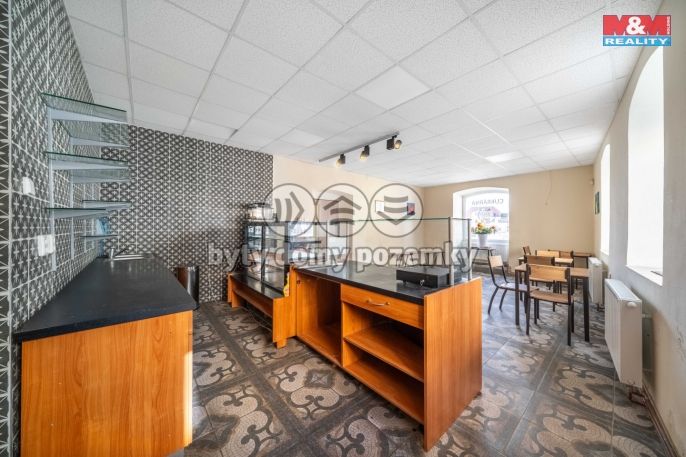 Pronájem, Restaurace, stravování, Nepomuk