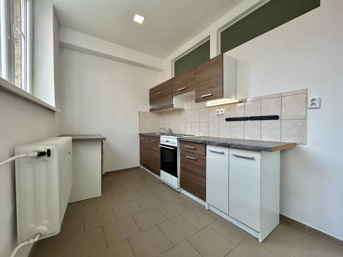 Pronájem, Byt 1+1, Švihov