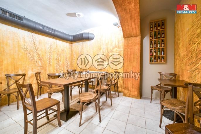 Pronájem, Obchod a služby, Plzeň