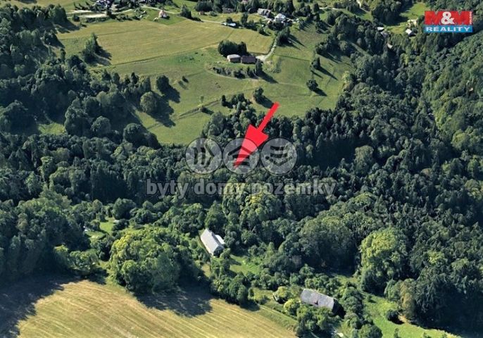 Prodej, Les, Koberovy