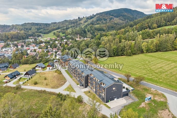 Prodej, Byt 2+kk, Černý Důl