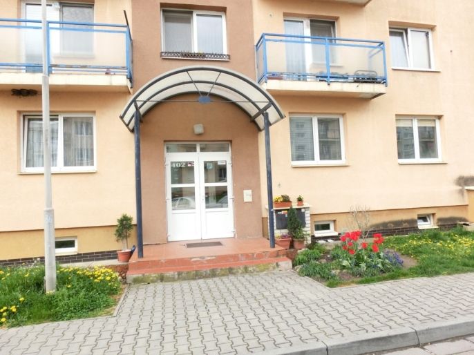 Pronájem, Byt 1+1, Luštěnice