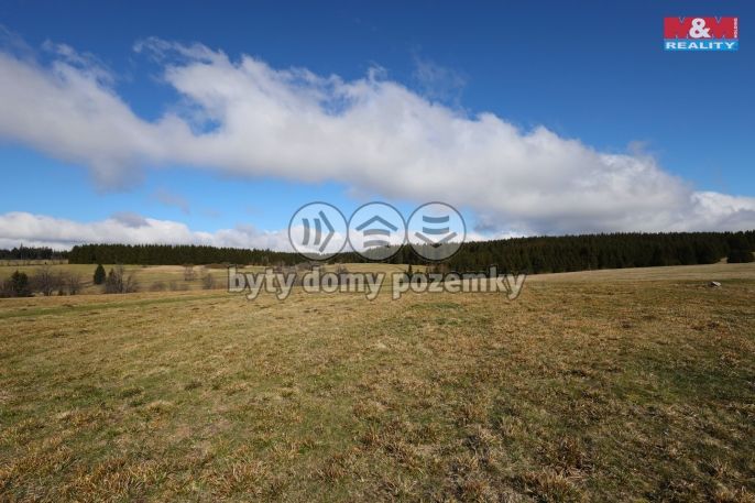 Prodej, Louka, Pernink