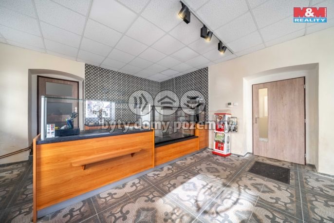 Pronájem, Restaurace, stravování, Nepomuk